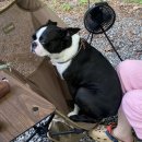 캠누리 오토캠핑장 이미지