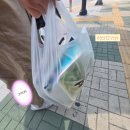 포천이동갈비직판장 백운계곡점 | 포천이동갈비 파는 곳, 장암이포천이동갈비직판장 구매 후기