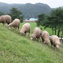 의야지바람마을 이미지