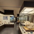 덕소자연사박물관 이미지