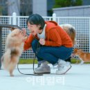 네임광고