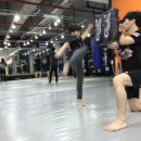 피제이미트
