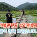 상리주유소 이미지