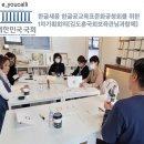 새움기획