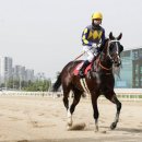 대승축산 이미지