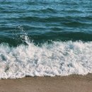 우물청과 이미지