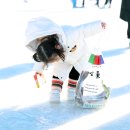 평창송어축제 진부 오대천 축제장 송어 낚시터 요금 놀이시설 요금 텐트낚시 얼음낚시 놀이시설 먹거리촌