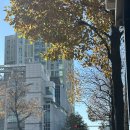 옥산로10번길 이미지