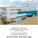 2024년 현대바이오랜드 회계 담당자 채용 공고(~11/3) 이미지