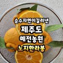 장한농장 | [공지] "내돈내산" 달콤, 새콤, 상큼함의 끝판왕, 자연이 키워 낸 노지 한라봉, 산지 직송이라 아주...
