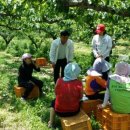 안성3동주민자치센터 이미지