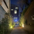 갤러리카페겸리 | [논현동 와인바] 아늑하고 분위기 좋은, 여자친구 데려오면 칭찬받는 &#34;트리블리 와인바&#34;