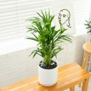 재화꽃집 이미지