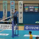 데이지 닮다 이미지