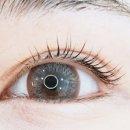 여시눈썹 이미지