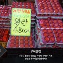 부여닭집