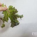구미향 족발 이미지