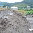 관정목장 이미지