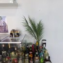 알파문구백령도점