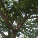 (부귀면)충혼탑 이미지