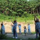 파인트리 스테이 이미지