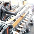 엑스포스짐 이미지