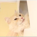 나비호텔 이미지