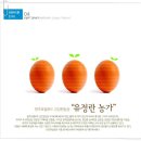 송규섭농장 Daum카페