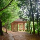 울주 대곡리 반구대 암각화 이미지