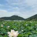 계룡산농장