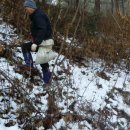 토종슈퍼 이미지