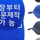 모자정육