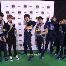 스프리스포니