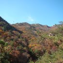 관악산 아래 관악구 도림천에서... 좋은 공연하시는 회원님께... 관악산 산행사진을 올려 봄니다... 즐감 하세요... 이미지