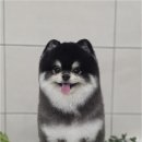 와르아르 네이버블로그