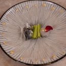 장안복집 이미지