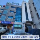 로얄장 이미지