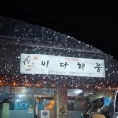 속초바다회 | [저온숙성회 바다해풍] 내돈내산| 속초 횟집 모둠회 회포장 2인 후기. 커플 기준 구성소개