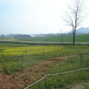 내장상동 주민자치센터 이미지