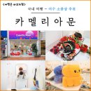여수 기념품샵 카멜리아문 여수 여행 선물 가득 추천
