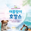 털로덮인친구들시흥배곧점