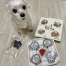 원두네 멍냥백서 이미지