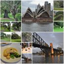 성의농장 이미지