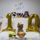 로키 10살 강아지 생일파티 해피팡팡 생일케이크