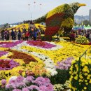 마산가고파국화축제 올해부터 유료화한다 이미지