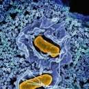 이엠축산 이미지