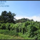 서근마을회관 이미지