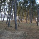 하동포구공원 이미지