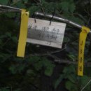 한계1리