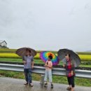 십이지신상 | 원성왕릉⛰️왜 괘릉이라고 부르는걸까? 다음번에는 봉분의 십이지신상을 좀 더 상세히 살펴봐야겠다🌾